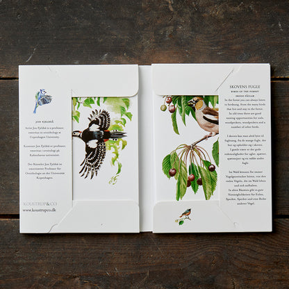 Notecards Birds of the Forest