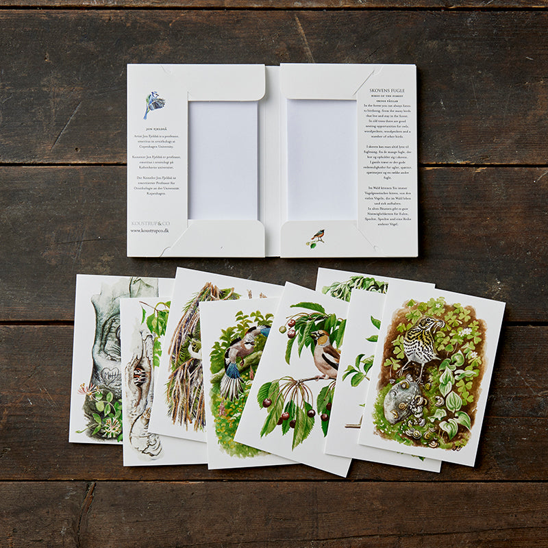 Notecards Birds of the Forest
