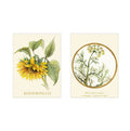 Notecards Mini Sunflower