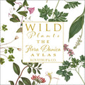 Note Cards Wild Plants Flora Danica