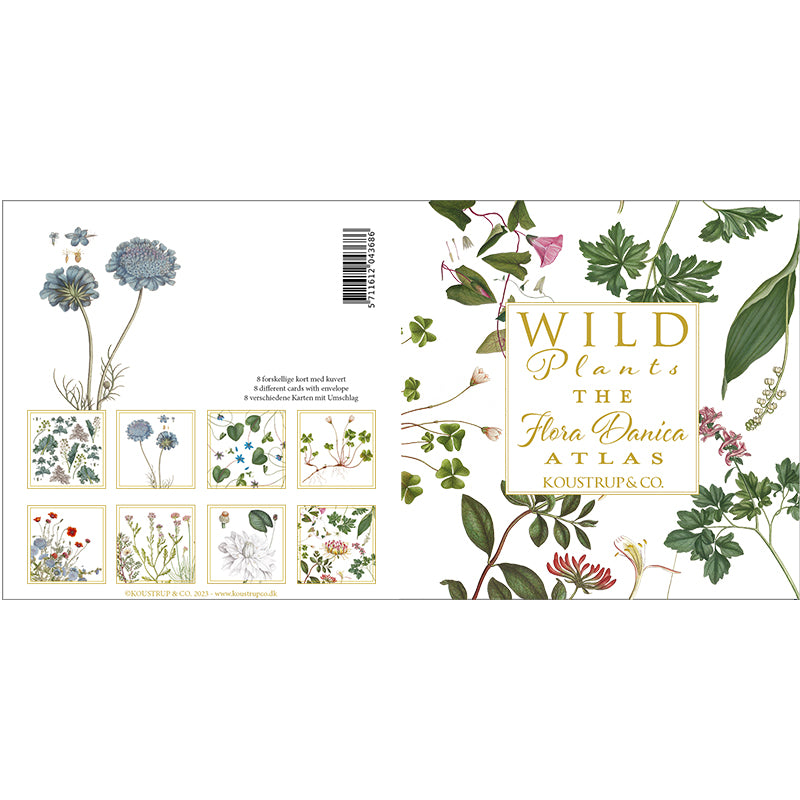 Note Cards Wild Plants Flora Danica