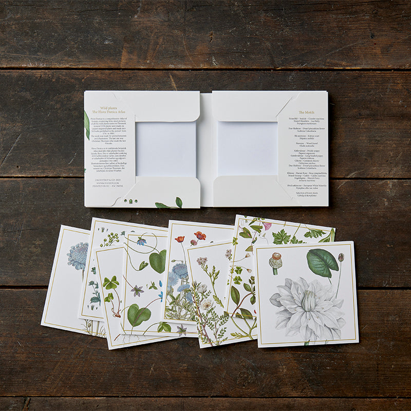 Note Cards Wild Plants Flora Danica