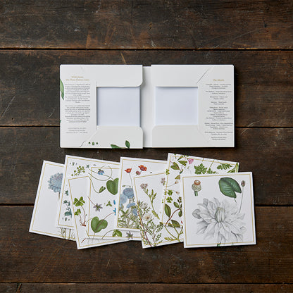 Note Cards Wild Plants Flora Danica