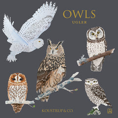 Notecards Owl Koustrup