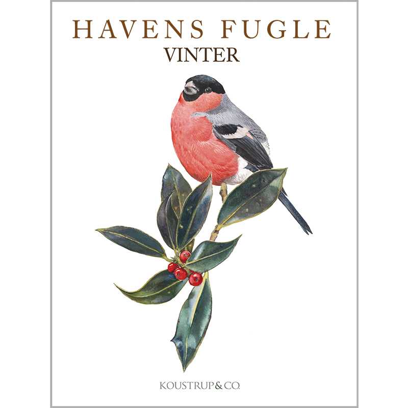 Notecards Winter Garden Birds