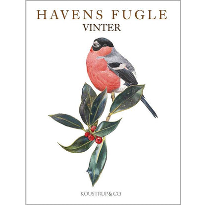 Notecards Winter Garden Birds