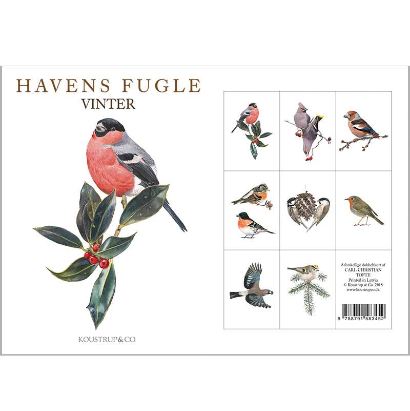 Notecards Winter Garden Birds