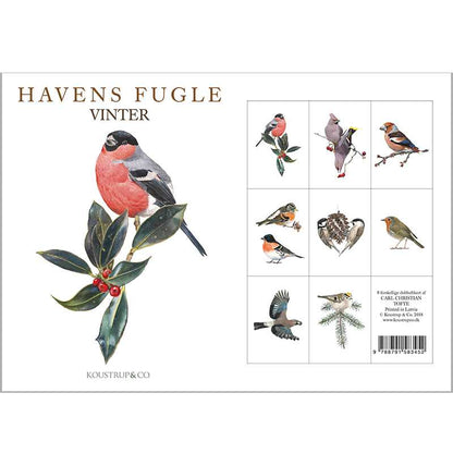 Notecards Winter Garden Birds