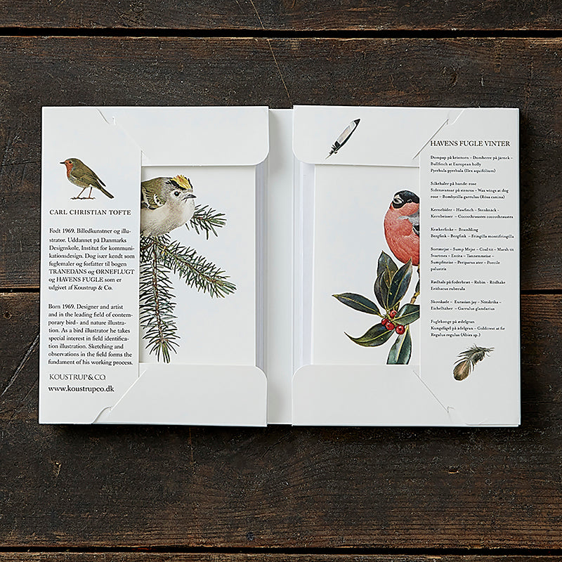 Notecards Winter Garden Birds