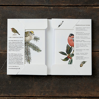 Notecards Winter Garden Birds