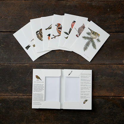 Notecards Winter Garden Birds