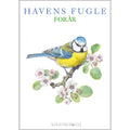 Notecards Spring Garden Birds