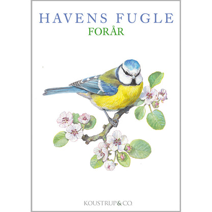 Notecards Spring Garden Birds