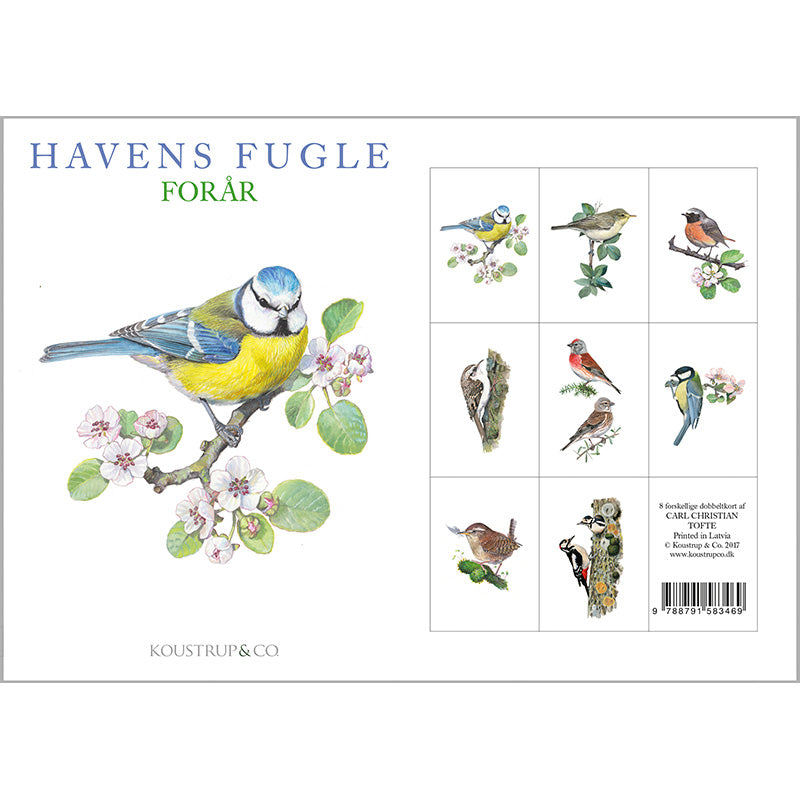 Notecards Spring Garden Birds