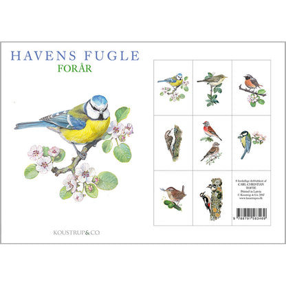 Notecards Spring Garden Birds