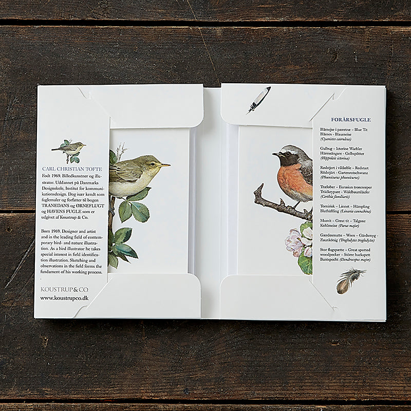 Notecards Spring Garden Birds