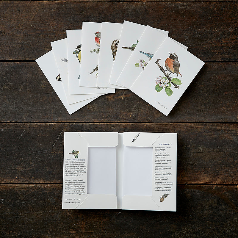 Notecards Spring Garden Birds