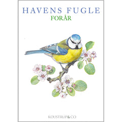 Notecards Spring Garden Birds