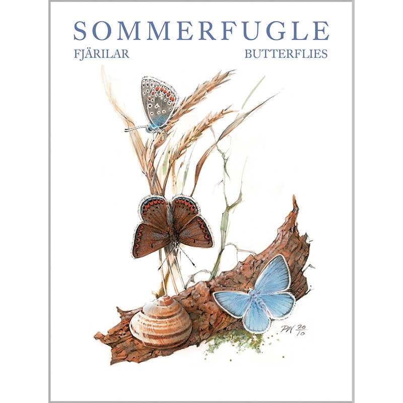 Notecards Butterflies