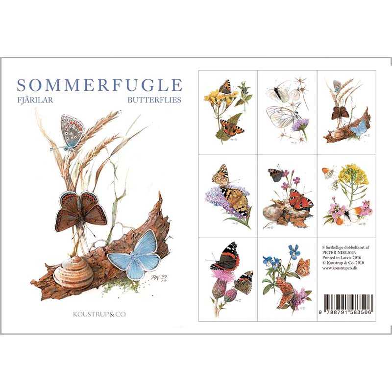 Notecards Butterflies