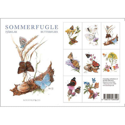 Notecards Butterflies