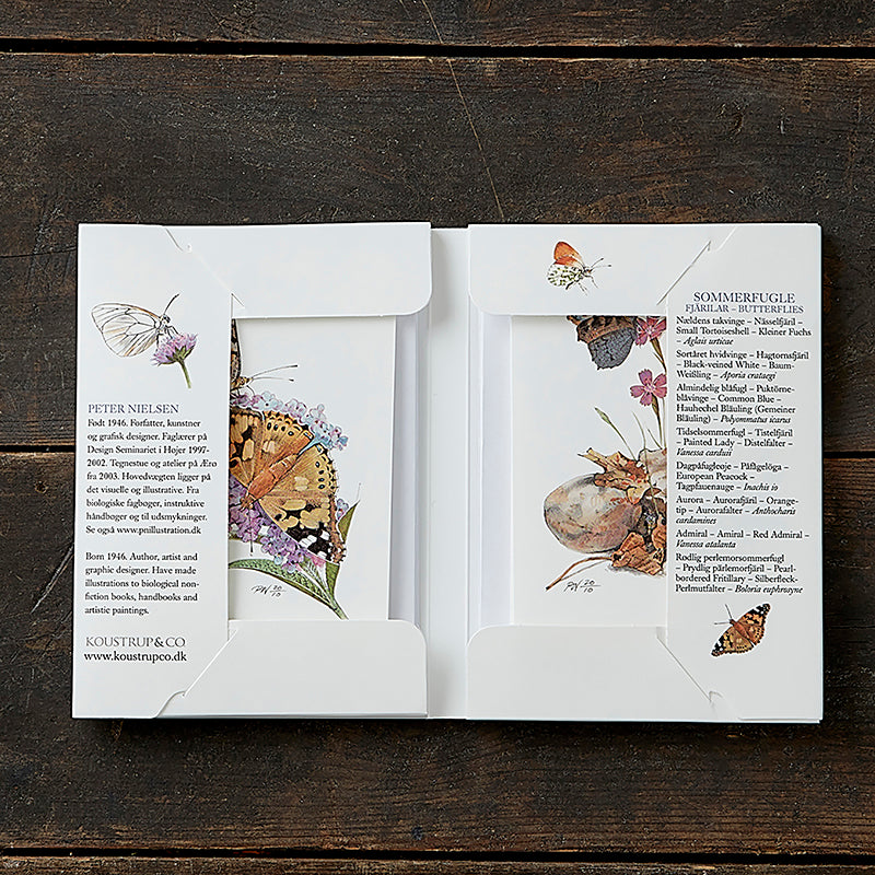 Notecards Butterflies
