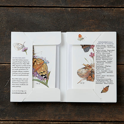 Notecards Butterflies