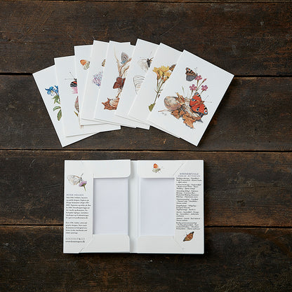 Notecards Butterflies