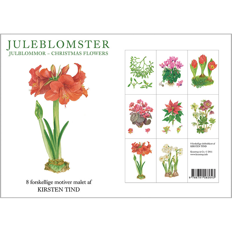 Notecards Christmas Flowers