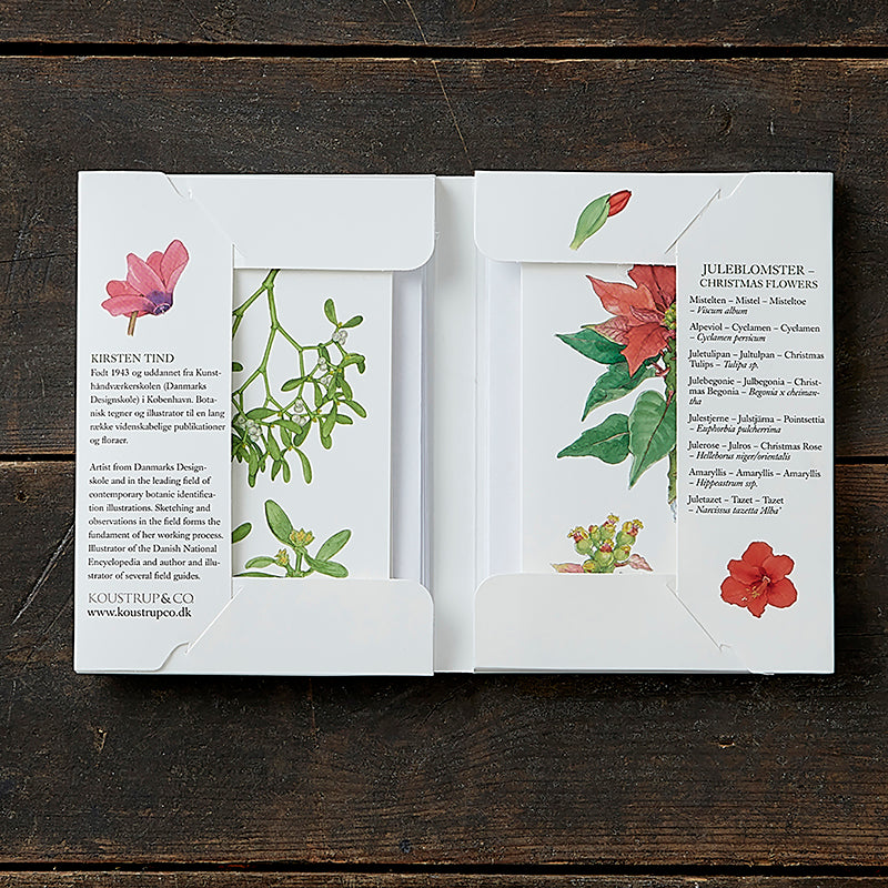 Notecards Christmas Flowers