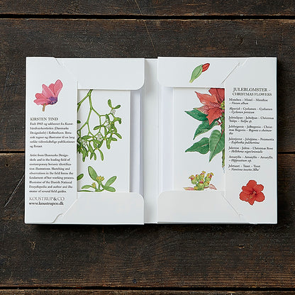 Notecards Christmas Flowers