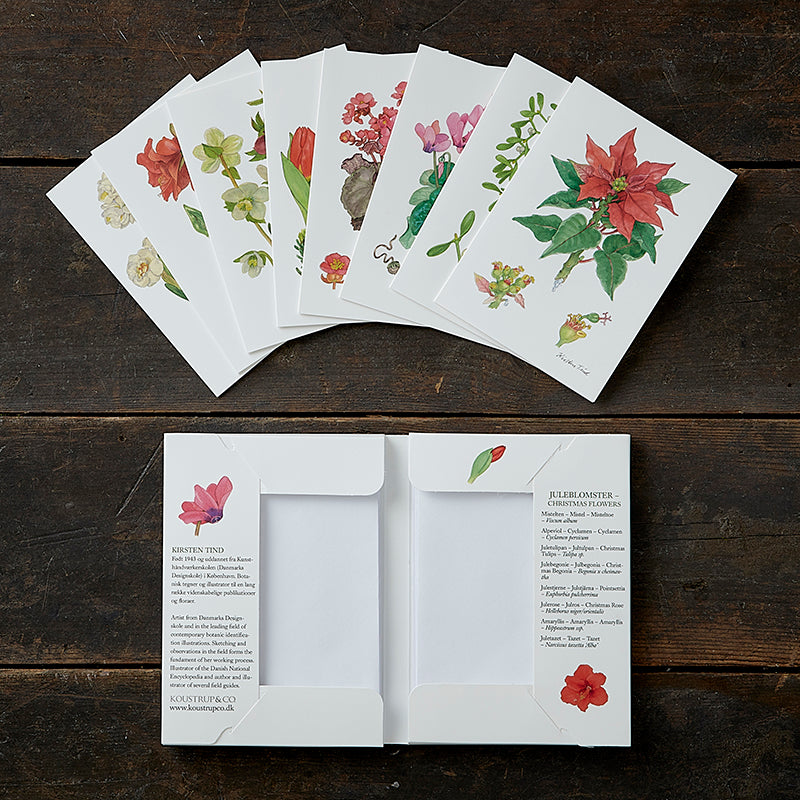 Notecards Christmas Flowers