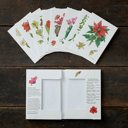 Notecards Christmas Flowers