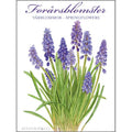 Notecards Spring Flowers