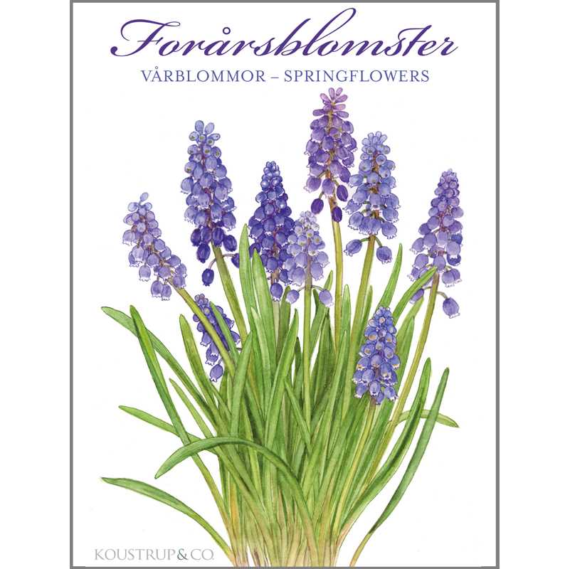 Notecards Spring Flowers