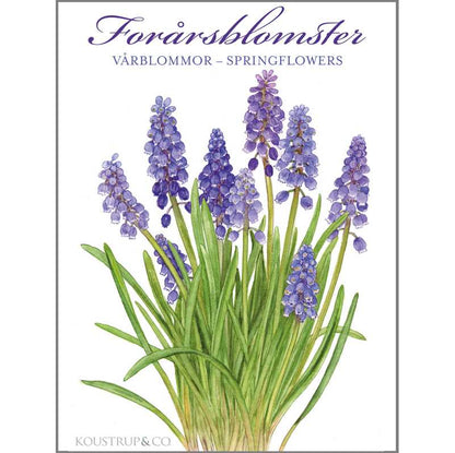 Notecards Spring Flowers