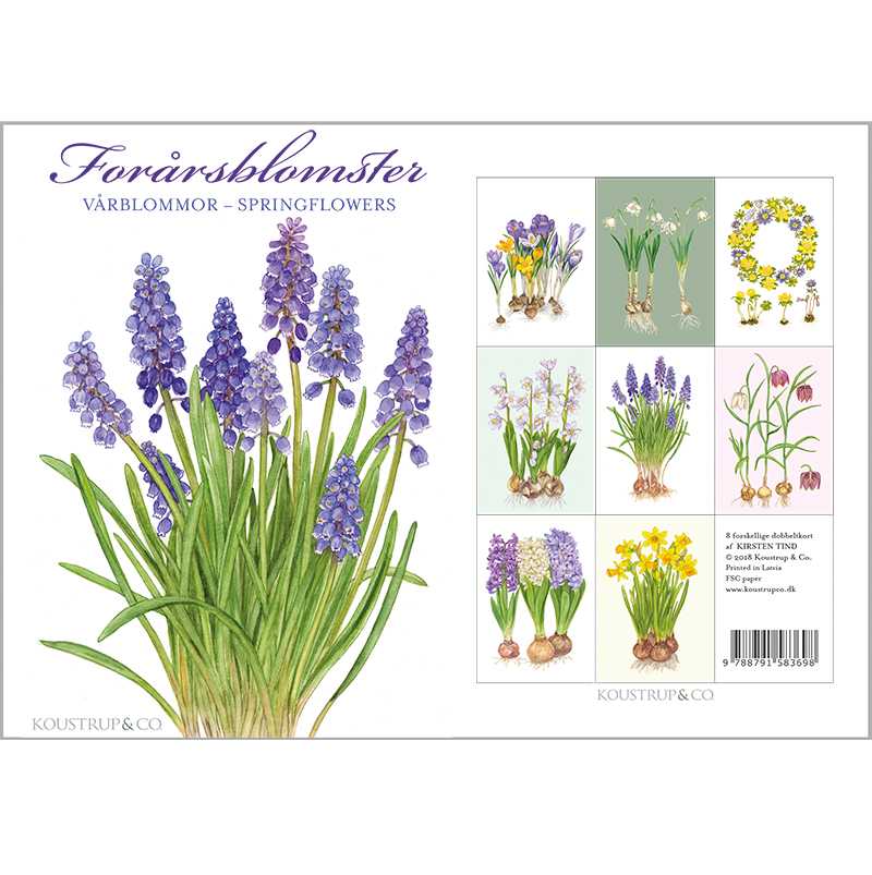 Notecards Spring Flowers