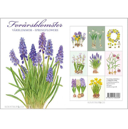 Notecards Spring Flowers
