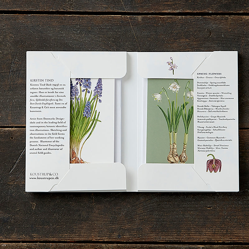 Notecards Spring Flowers
