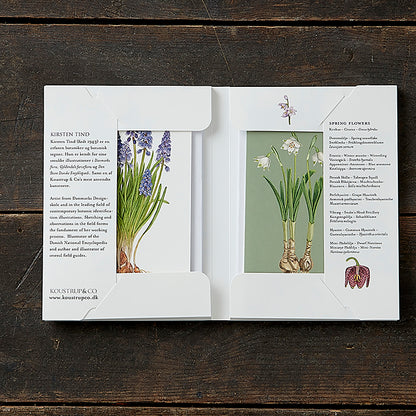 Notecards Spring Flowers
