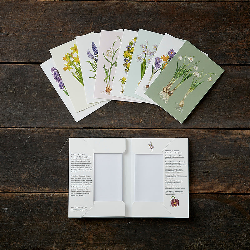 Notecards Spring Flowers