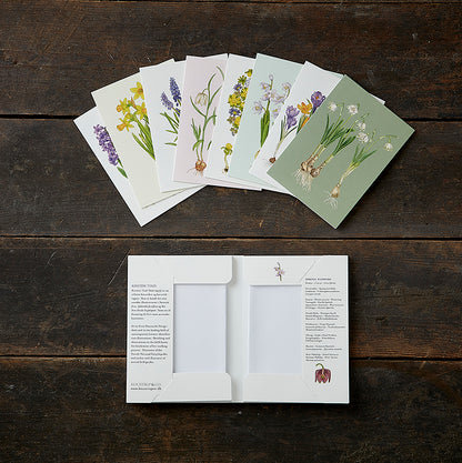 Notecards Spring Flowers