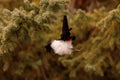 Mini Flying Witch Black
