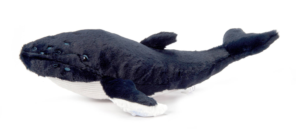 20" (50cm) Wild Onez Humpback Whale
