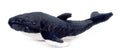 20" (50cm) Wild Onez Humpback Whale