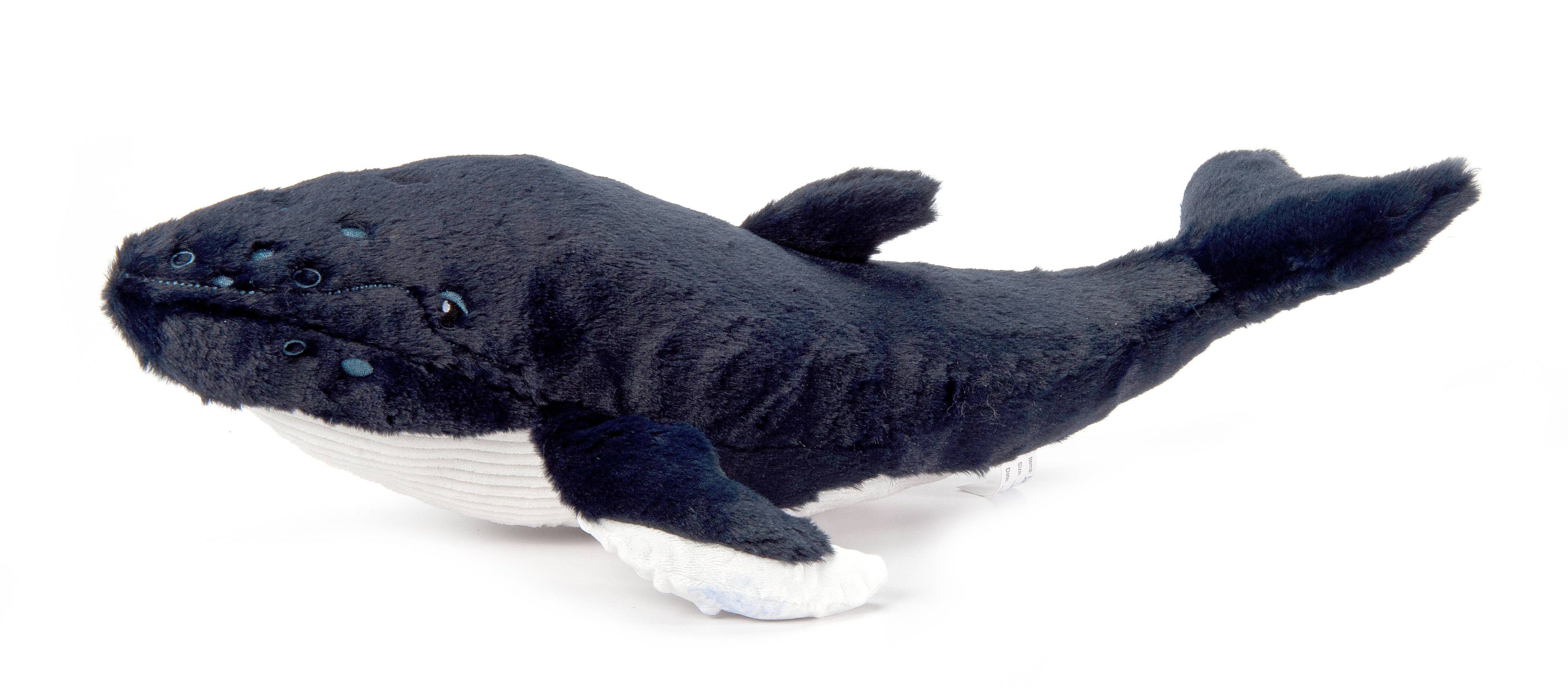 20" (50cm) Wild Onez Humpback Whale