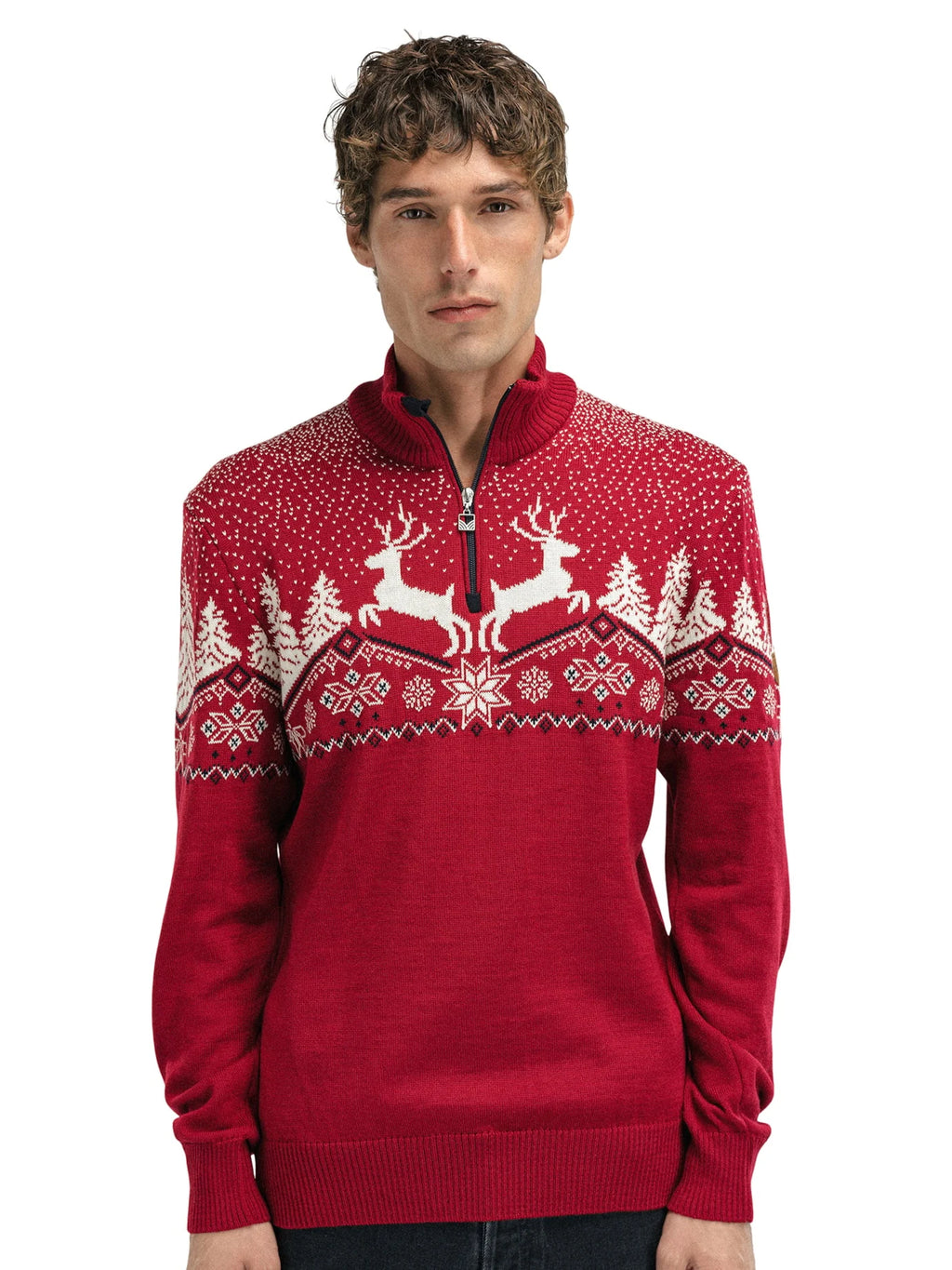 Dale Christmas Masc Sweater