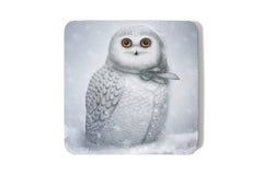 Coaster Snowy Owl