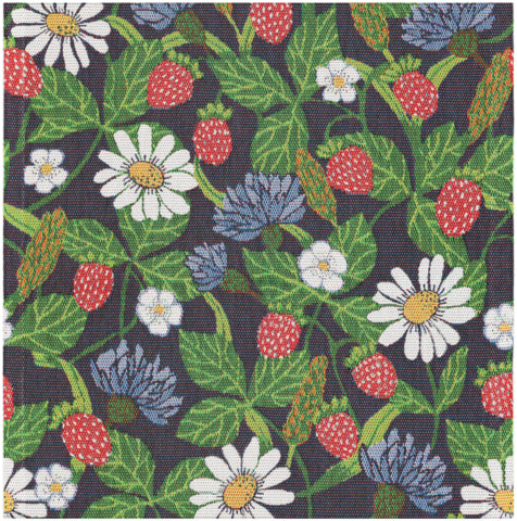 Ekelund Fragaria
