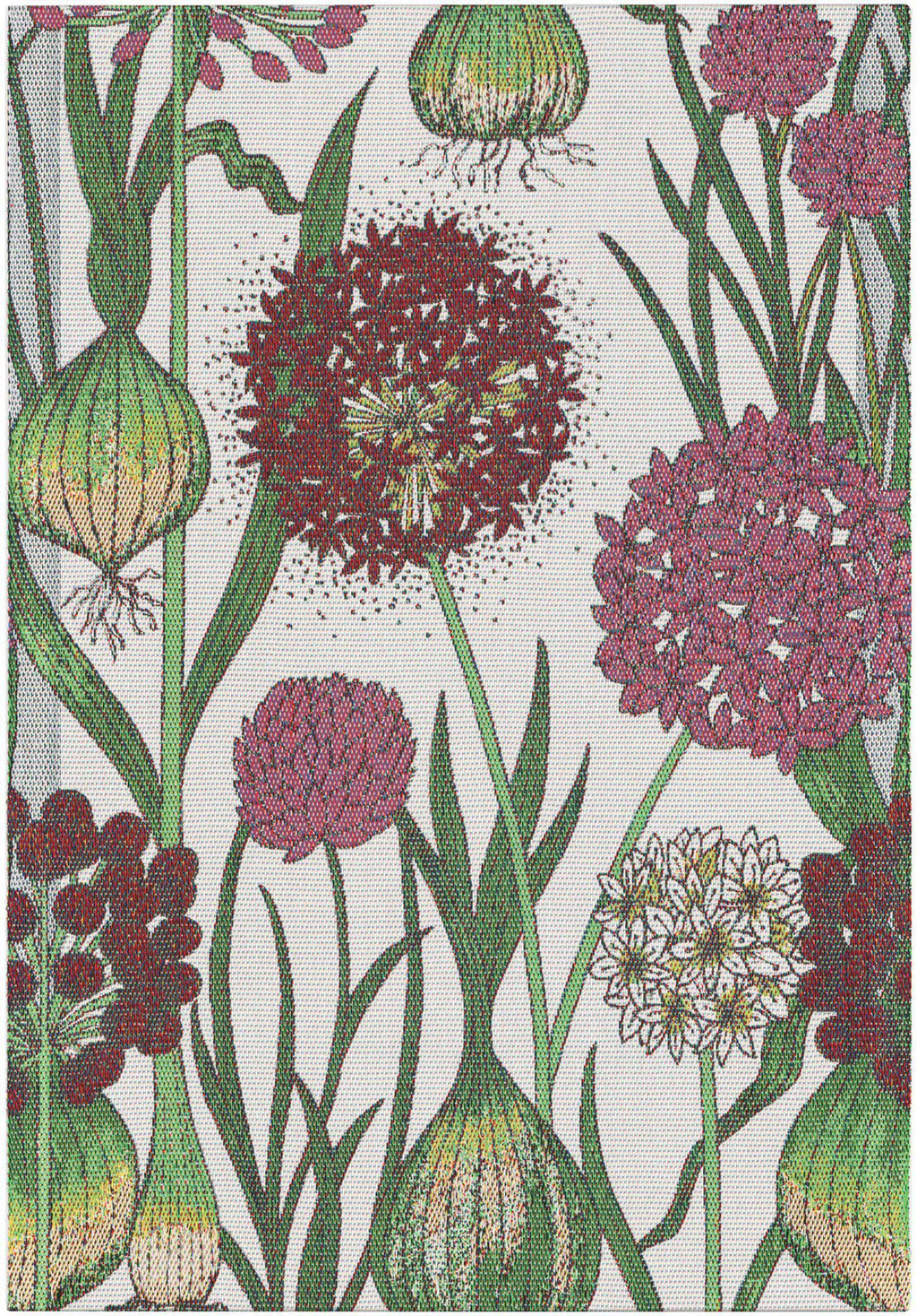 Ekelund Allium